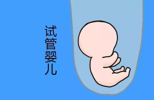 生殖中心环境